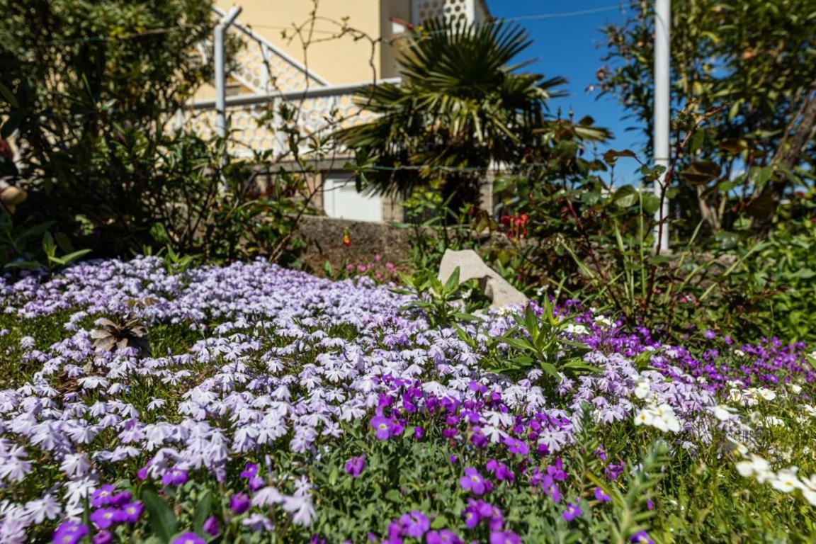 Apartman Grzetic Шіло Екстер'єр фото