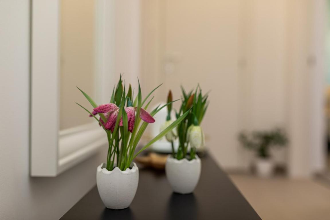 Apartman Grzetic Шіло Екстер'єр фото